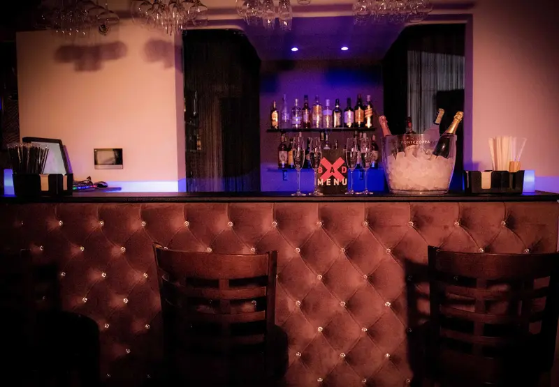 Bad Romance Club - The bar